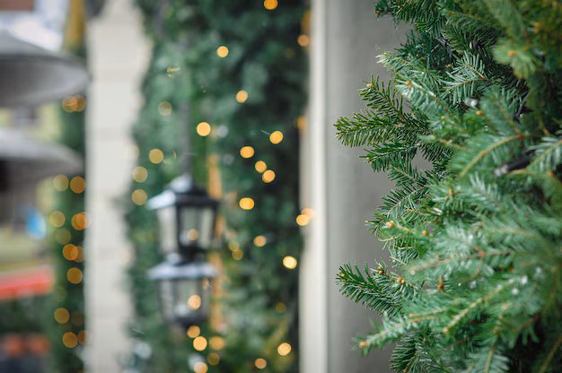 Wreath decoration at door for christmas holiday Premium Photo